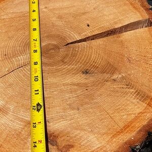 Carhartt Duck Coverall Quilt Lined Mens size 48R